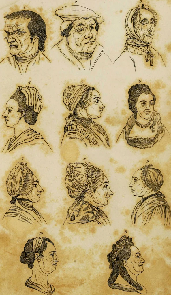 An illustration from Essays on physiognomy / tr. from the German of John Caspar Lavater, by Thomas Holcroft. Also one hundred physiognomical rules, taken from a posthumous work by J.C. Lavater; and a memoir of the author., 1853, leaf 726
