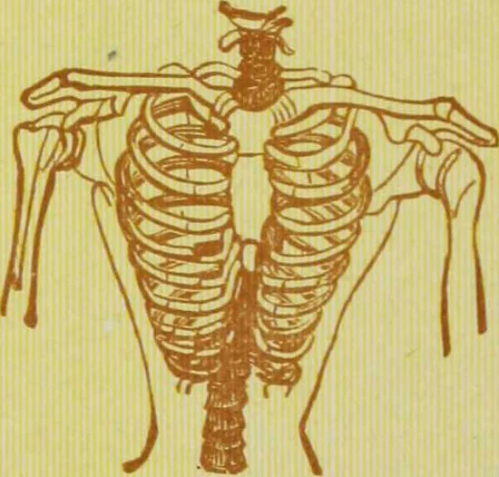 An illustration from Ladies' guide in health and disease : girlhood, maidenhood, wifehood, motherhood / by J.H. Kellogg., 1892, leaf 281