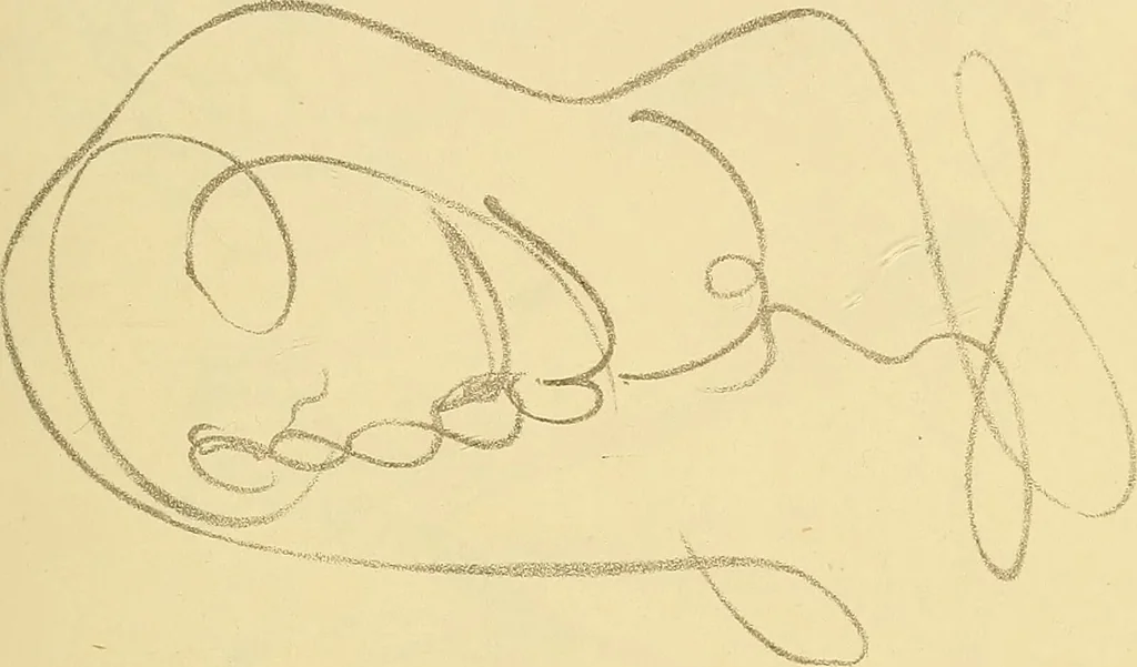 An illustration from Mary Jane, or, spiritualism chemically explained, with spirit drawings / also essays by, and ideas (perhaps erroneous) of "a child at school.", 1863, leaf 393