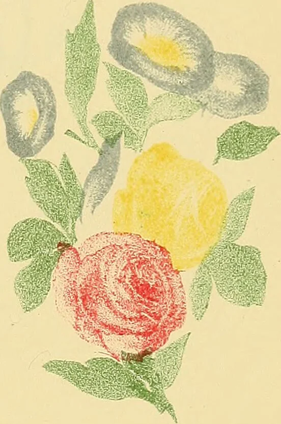 An illustration from Mary Jane, or, spiritualism chemically explained, with spirit drawings / also essays by, and ideas (perhaps erroneous) of "a child at school.", 1863, leaf 403