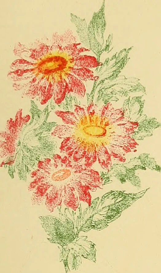 An illustration from Mary Jane, or, spiritualism chemically explained, with spirit drawings / also essays by, and ideas (perhaps erroneous) of "a child at school.", 1863, leaf 405