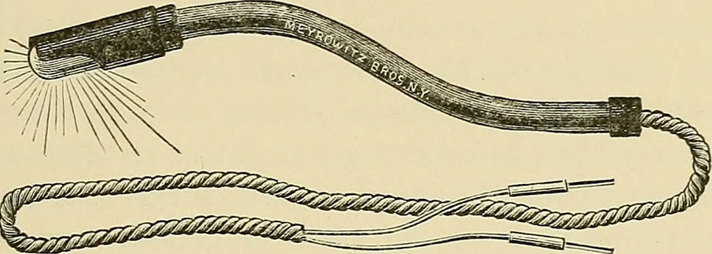 An illustration from Diseases of the nose and throat / by J. Price-Brown ; ill. with 159 engravings, including 6 full-page color-plates and 9 color-cuts in the text, many of them original., 1900, leaf 191