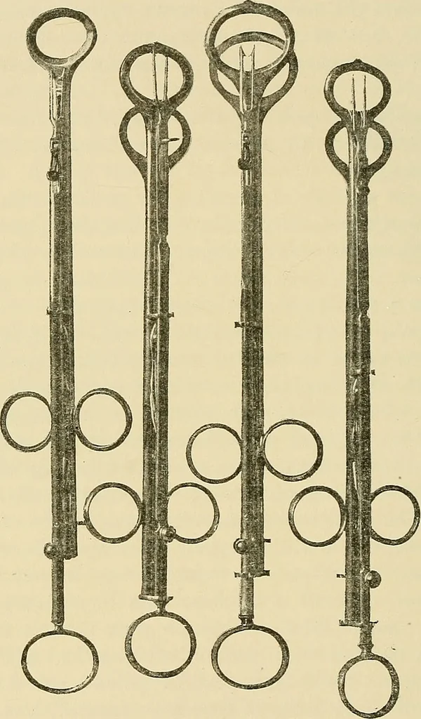 An illustration from Diseases of the nose and throat / by J. Price-Brown ; ill. with 159 engravings, including 6 full-page color-plates and 9 color-cuts in the text, many of them original., 1900, leaf 292