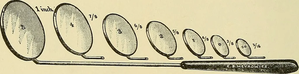 An illustration from Diseases of the nose and throat / by J. Price-Brown ; ill. with 159 engravings, including 6 full-page color-plates and 9 color-cuts in the text, many of them original., 1900, leaf 364