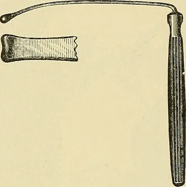 An illustration from Diseases of the nose and throat / by J. Price-Brown ; ill. with 159 engravings, including 6 full-page color-plates and 9 color-cuts in the text, many of them original., 1900, leaf 372