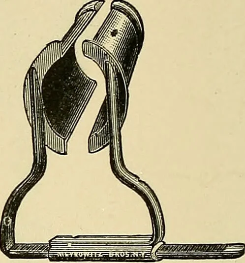 An illustration from Diseases of the nose and throat / by J. Price-Brown ; ill. with 159 engravings, including 6 full-page color-plates and 9 color-cuts in the text, many of them original., 1900, leaf 42