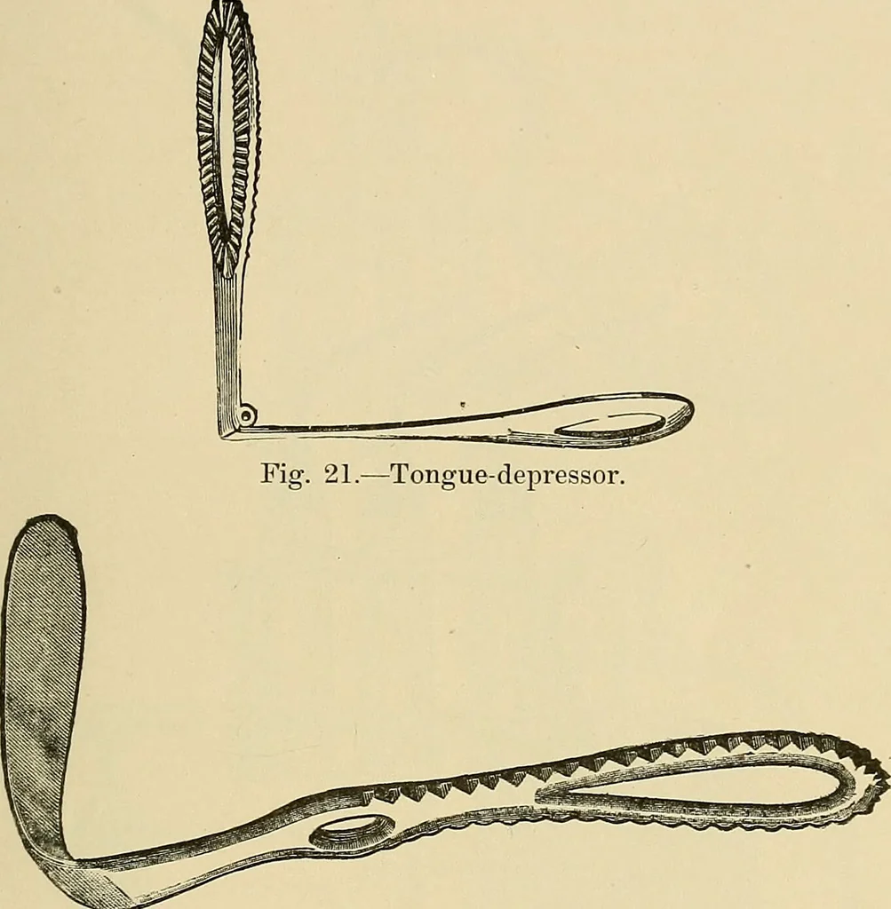 An illustration from Diseases of the nose and throat / by J. Price-Brown ; ill. with 159 engravings, including 6 full-page color-plates and 9 color-cuts in the text, many of them original., 1900, leaf 45