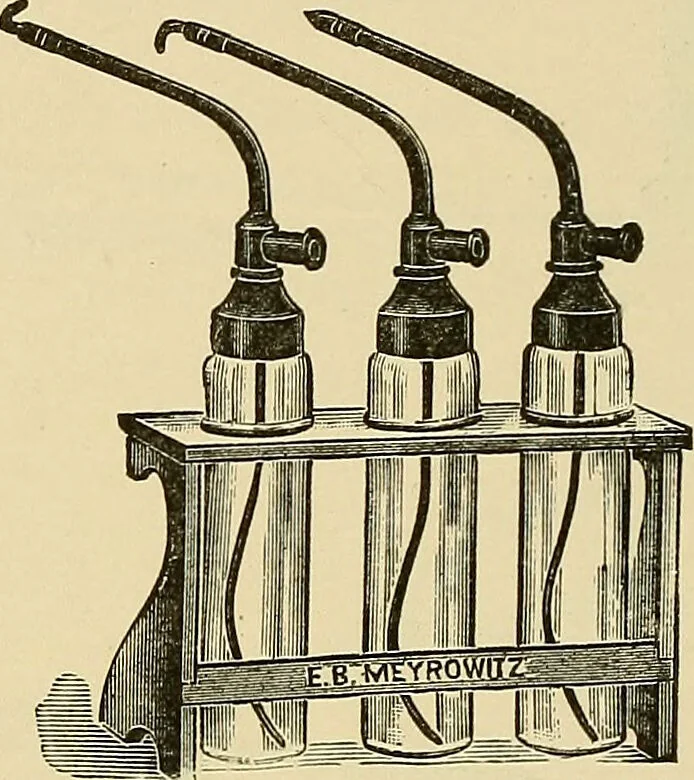 An illustration from Diseases of the nose and throat / by J. Price-Brown ; ill. with 159 engravings, including 6 full-page color-plates and 9 color-cuts in the text, many of them original., 1900, leaf 46
