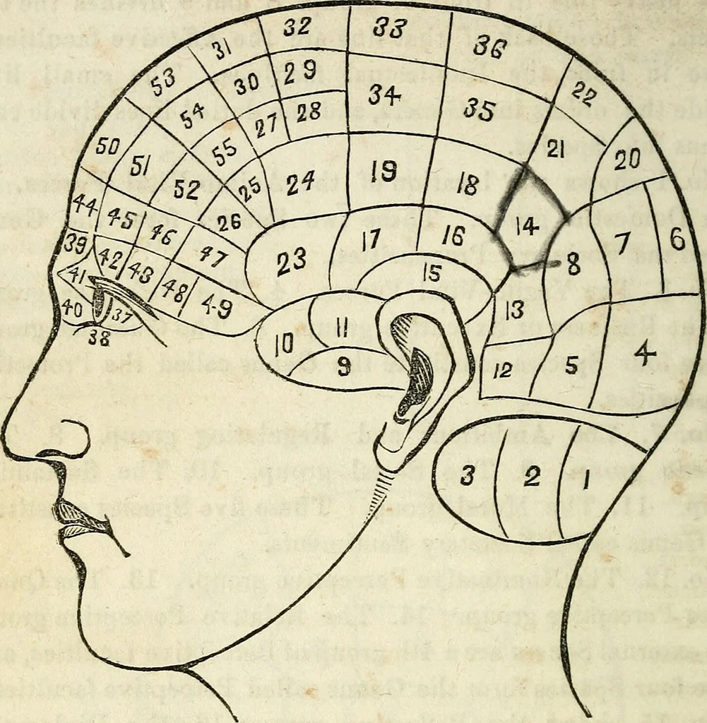 An illustration from An epitome of phrenology and temperamental physiology ; (containing several new features,) delineating the character, talents, disposition and natural ability of as given by on the day of A.D. 18 designed to aid persons in selecting occupations, employees, partners in business, teachers, etc., and to choose such husbands and wives as will render life's journey prosperous and happy, and confer the highest endowment of their offspring / By Dr. J. Gillis Buckly, lecturer on physiology, and for fifteen years a practical phrenologist., 1857, leaf 38