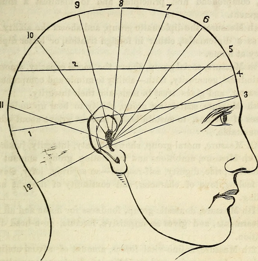 An illustration from An epitome of phrenology and temperamental physiology ; (containing several new features,) delineating the character, talents, disposition and natural ability of as given by on the day of A.D. 18 designed to aid persons in selecting occupations, employees, partners in business, teachers, etc., and to choose such husbands and wives as will render life's journey prosperous and happy, and confer the highest endowment of their offspring / By Dr. J. Gillis Buckly, lecturer on physiology, and for fifteen years a practical phrenologist., 1857, leaf 45