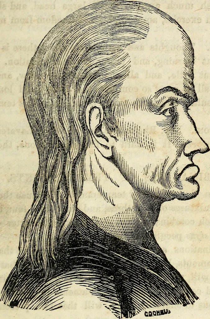 An illustration from An epitome of phrenology and temperamental physiology ; (containing several new features,) delineating the character, talents, disposition and natural ability of as given by on the day of A.D. 18 designed to aid persons in selecting occupations, employees, partners in business, teachers, etc., and to choose such husbands and wives as will render life's journey prosperous and happy, and confer the highest endowment of their offspring / By Dr. J. Gillis Buckly, lecturer on physiology, and for fifteen years a practical phrenologist., 1857, leaf 57