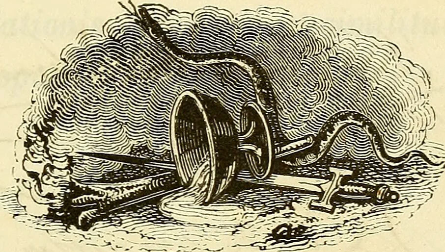 An illustration from Opusculum spiritualismum atque Galli phrenologiae refutationem continens / compositum ab Ignatio de Ciebra, medico, etc., etc., 1850, leaf 9