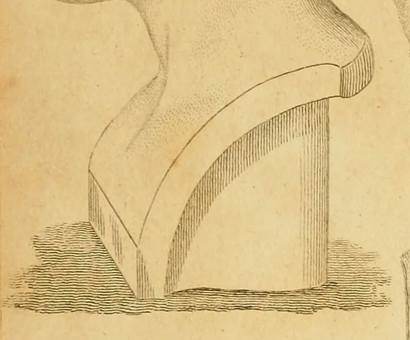 An illustration from Elements of phrenology / By George Combe., 1835, leaf 8