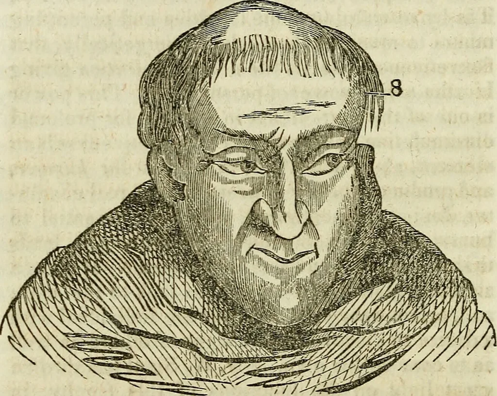 An illustration from Elements of phrenology / By George Combe. From the fifth Edinburgh improved and enlarged edition. With illustrations., 1846, leaf 106
