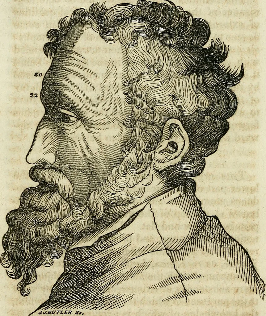 An illustration from Elements of phrenology / By George Combe. From the fifth Edinburgh improved and enlarged edition. With illustrations., 1846, leaf 148