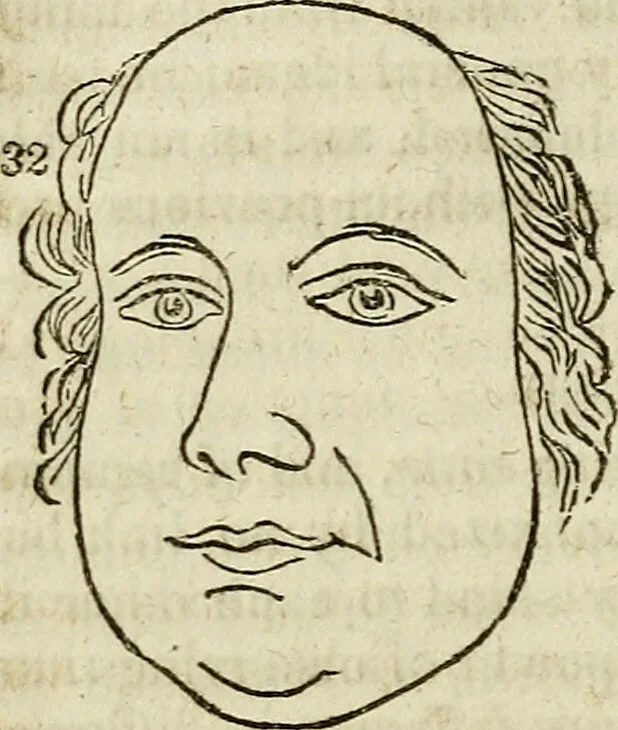 An illustration from Elements of phrenology / By George Combe. From the fifth Edinburgh improved and enlarged edition. With illustrations., 1846, leaf 164
