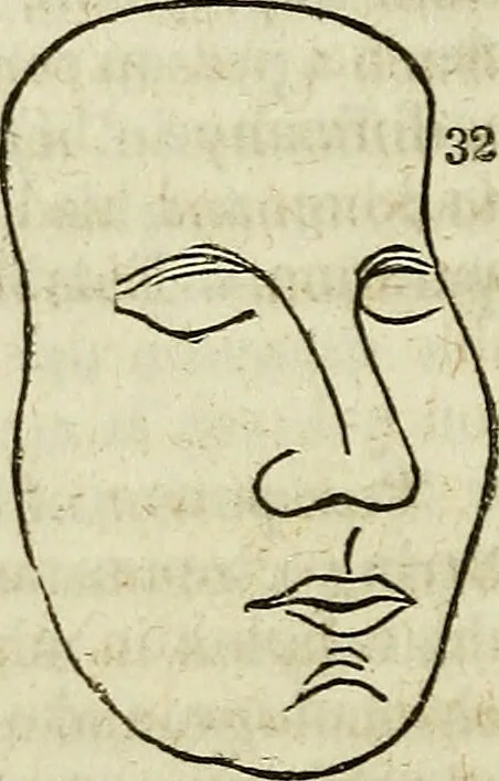 An illustration from Elements of phrenology / By George Combe. From the fifth Edinburgh improved and enlarged edition. With illustrations., 1846, leaf 164
