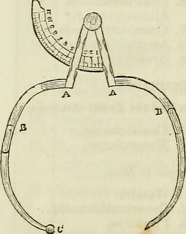 An illustration from Elements of phrenology / By George Combe. From the fifth Edinburgh improved and enlarged edition. With illustrations., 1846, leaf 256