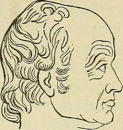 An illustration from Lectures on phrenology / By George Combe, Esq. With notes, an introductory essay, and a historical sketch by Andrew Boardman, M.D., 1895, leaf 141