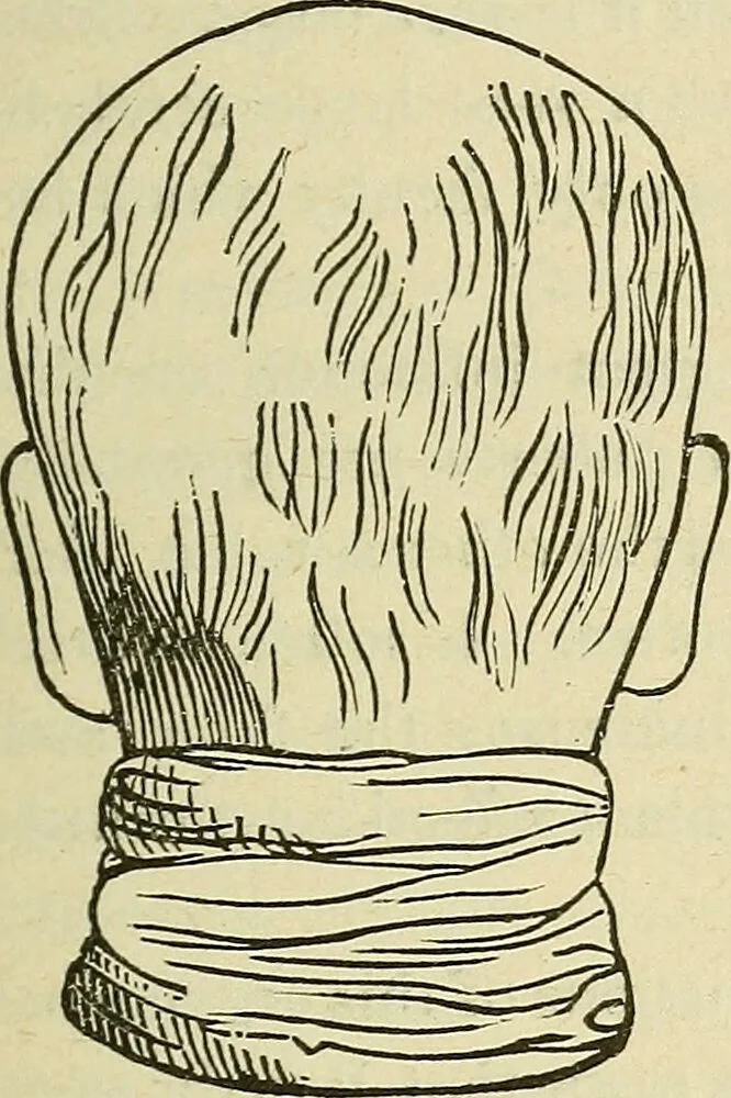 An illustration from Lectures on phrenology / By George Combe, Esq. With notes, an introductory essay, and a historical sketch by Andrew Boardman, M.D., 1895, leaf 143
