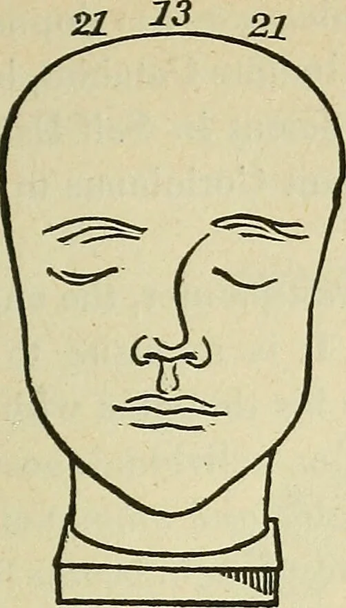 An illustration from Lectures on phrenology / By George Combe, Esq. With notes, an introductory essay, and a historical sketch by Andrew Boardman, M.D., 1895, leaf 231