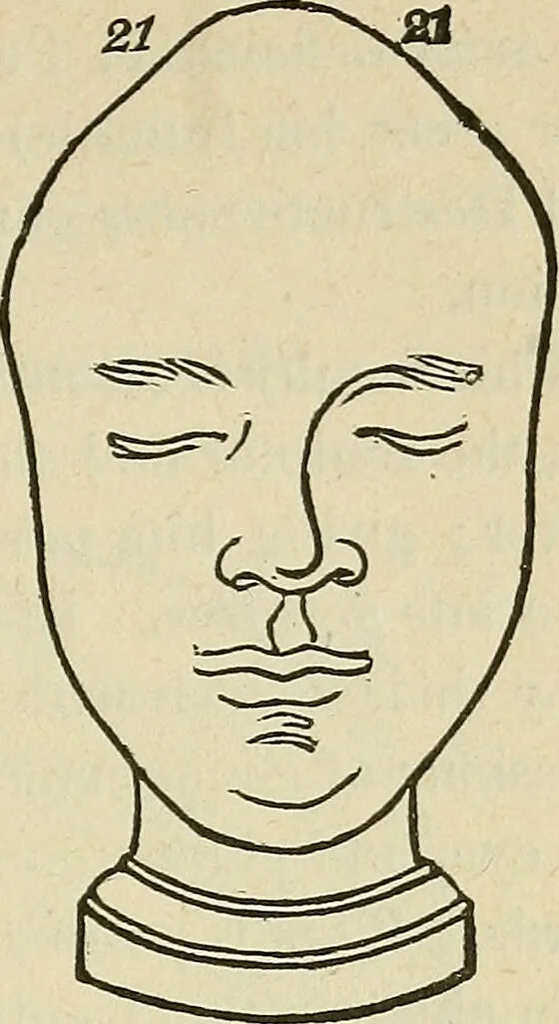 An illustration from Lectures on phrenology / By George Combe, Esq. With notes, an introductory essay, and a historical sketch by Andrew Boardman, M.D., 1895, leaf 231