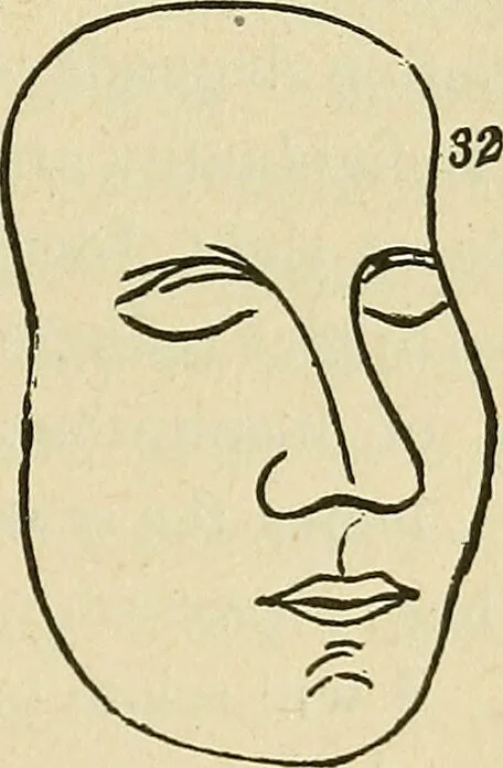 An illustration from Lectures on phrenology / By George Combe, Esq. With notes, an introductory essay, and a historical sketch by Andrew Boardman, M.D., 1895, leaf 261