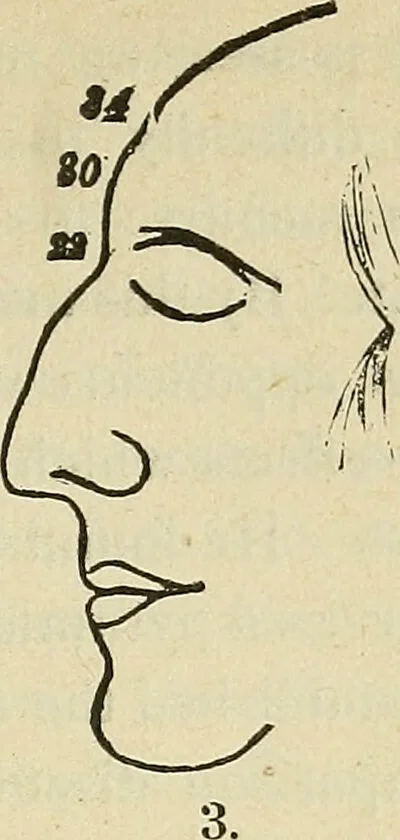 An illustration from Lectures on phrenology / By George Combe, Esq. With notes, an introductory essay, and a historical sketch by Andrew Boardman, M.D., 1895, leaf 269