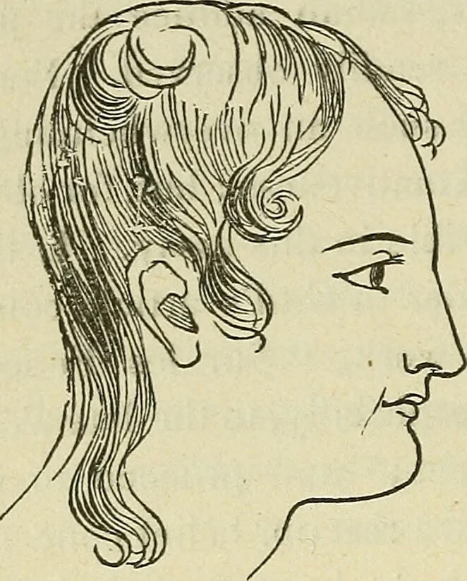 An illustration from Lectures on phrenology / By George Combe, Esq. With notes, an introductory essay, and a historical sketch by Andrew Boardman, M.D., 1895, leaf 32