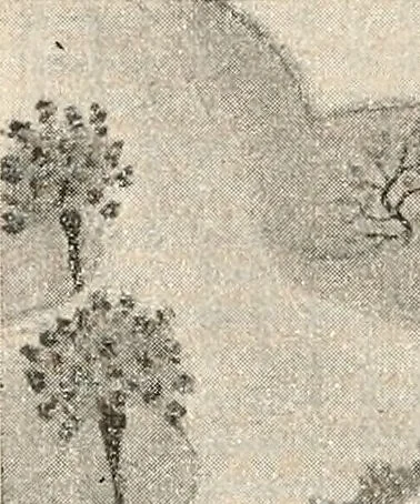 An illustration from Des Indes la plane Mars : ude sur un cas de somnambulisme avec glossolalie / par Th. Flournoy., 1900, leaf 174