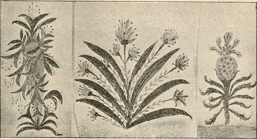 An illustration from Des Indes la plane Mars : ude sur un cas de somnambulisme avec glossolalie / par Th. Flournoy., 1900, leaf 183