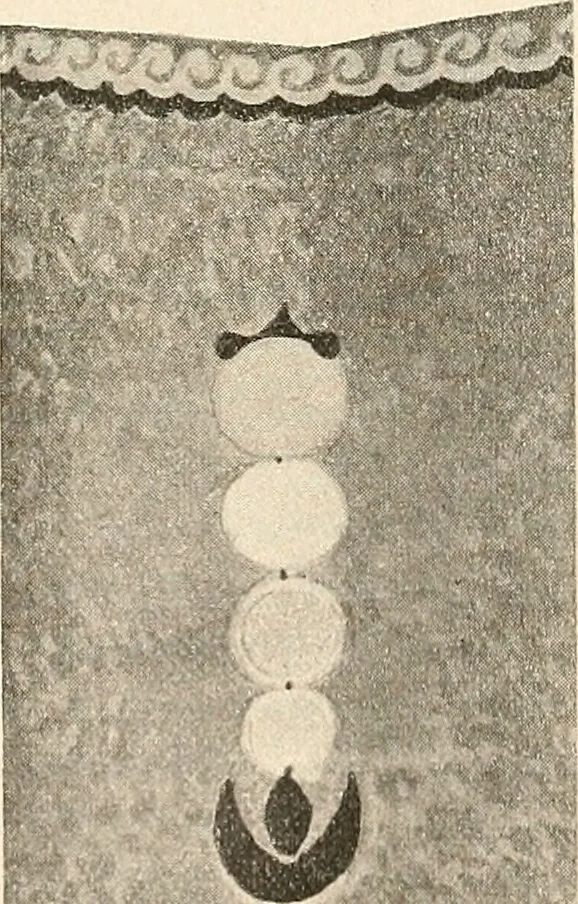 An illustration from Des Indes la plane Mars : ude sur un cas de somnambulisme avec glossolalie / par Th. Flournoy., 1900, leaf 199