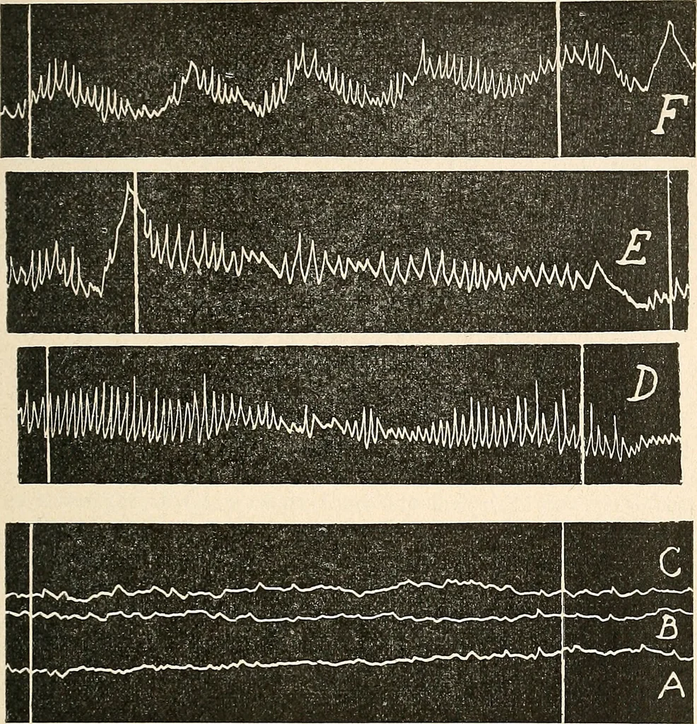 An illustration from Des Indes la plane Mars : ude sur un cas de somnambulisme avec glossolalie / par Th. Flournoy., 1900, leaf 87