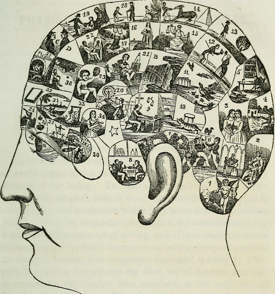 An illustration from Physiology, animal and mental: applied to the preservation and restoration of health of body and power of mind / by O.S. Fowler., 1847, leaf 23