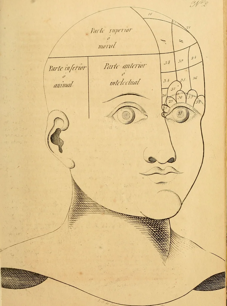 An illustration from Arte de conocer á los hombres por medio de su esterior, segun resulta de los estudios frenologicos y fisionomicos : Obra util á todos en general, y en particular á los maestros de primera educacion, á los padres de familia, confesores, jueces, directores de establecimientos piadosos, &c. &c. Adornada con laminas litografiadas / Por Antero Gomez., 1849, leaf 53