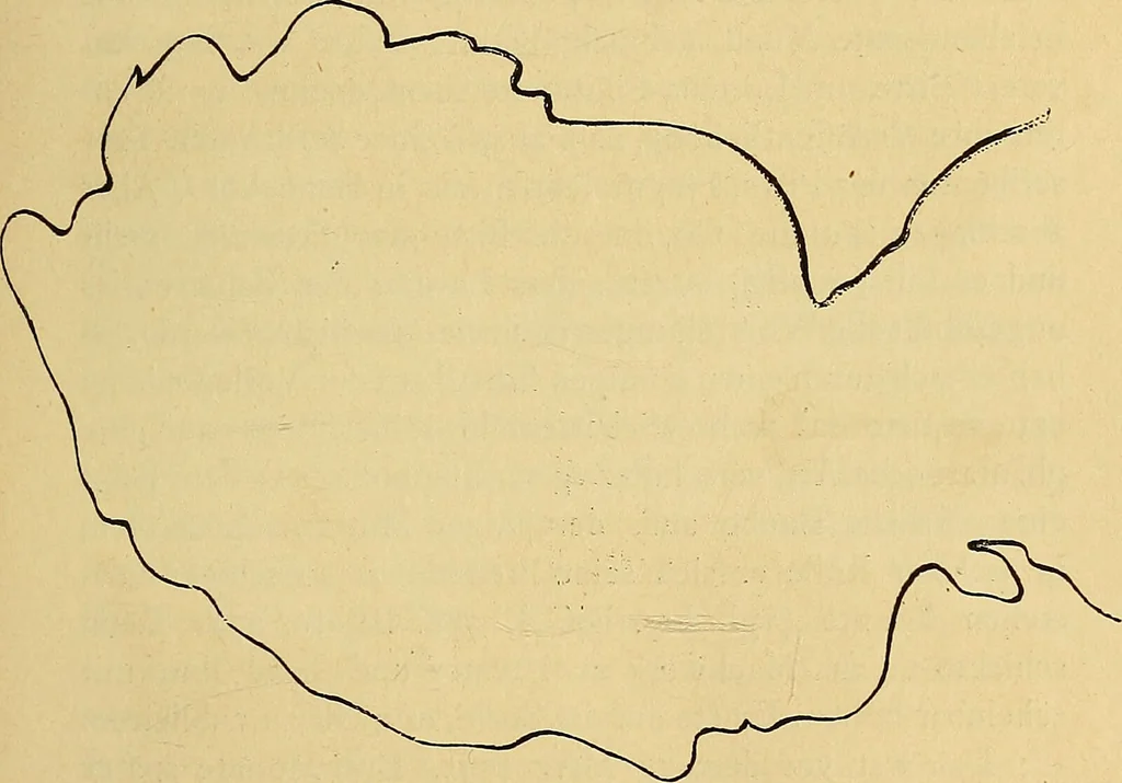 An illustration from Goethes Anteil an Lavaters Physiognomischen Fragmenten / von Eduard von der Hellen., 1888, leaf 143