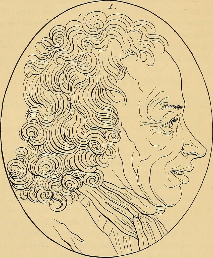 An illustration from Goethes Anteil an Lavaters Physiognomischen Fragmenten / von Eduard von der Hellen., 1888, leaf 180