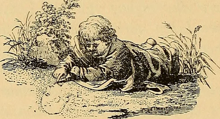 An illustration from Goethes Anteil an Lavaters Physiognomischen Fragmenten / von Eduard von der Hellen., 1888, leaf 234
