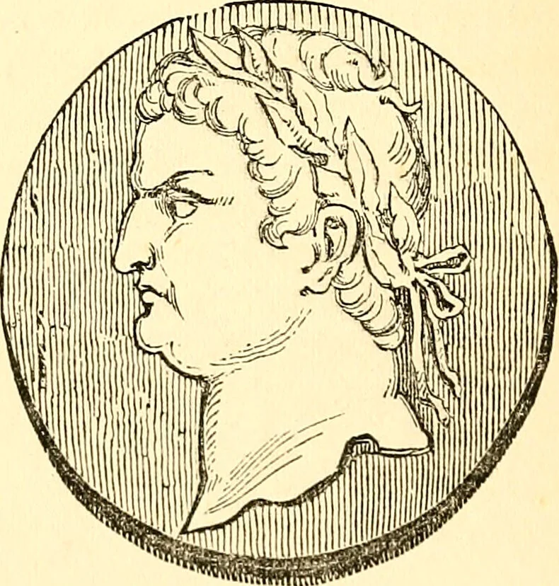 An illustration from Notes on noses / by Eden Warwick., 1864, leaf 104