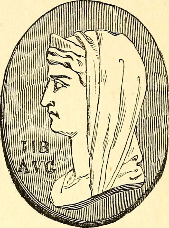 An illustration from Notes on noses / by Eden Warwick., 1864, leaf 120