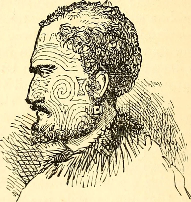 An illustration from Notes on noses / by Eden Warwick., 1864, leaf 160