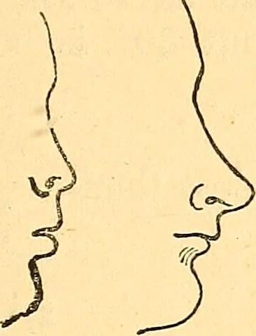 An illustration from Notes on noses / by Eden Warwick., 1864, leaf 19