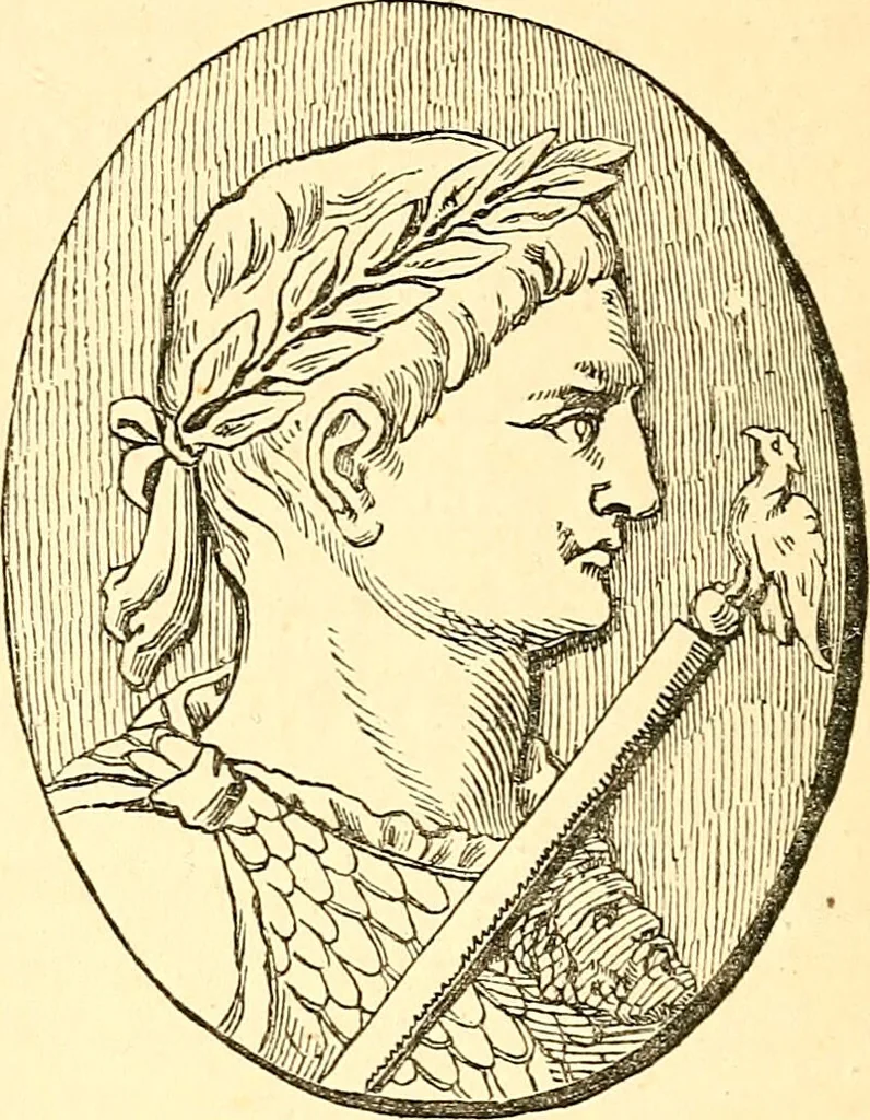 An illustration from Notes on noses / by Eden Warwick., 1864, leaf 34