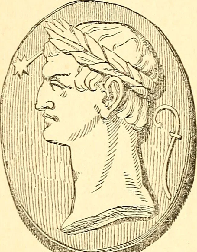 An illustration from Notes on noses / by Eden Warwick., 1864, leaf 48