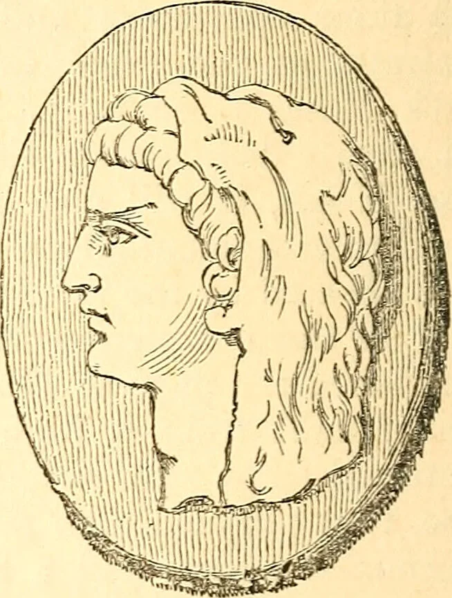 An illustration from Notes on noses / by Eden Warwick., 1864, leaf 48