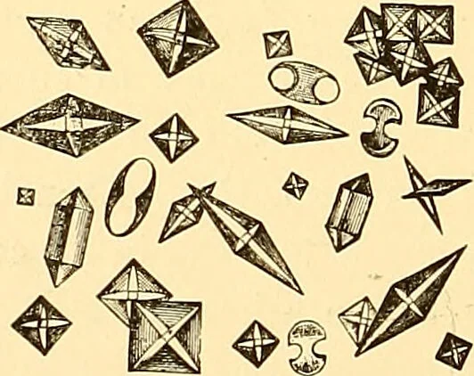 An illustration from Clinical diagnosis : the bacteriological, chemical, and microscopical evidence of disease / by Rudolf v. Jaksch ; tr. from the 3rd German ed. and enlarged by James Cagney ; with numerous illustrations (partly in colours)., 1893, leaf 268