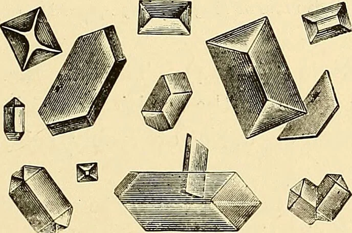 An illustration from Clinical diagnosis : the bacteriological, chemical, and microscopical evidence of disease / by Rudolf v. Jaksch ; tr. from the 3rd German ed. and enlarged by James Cagney ; with numerous illustrations (partly in colours)., 1893, leaf 269