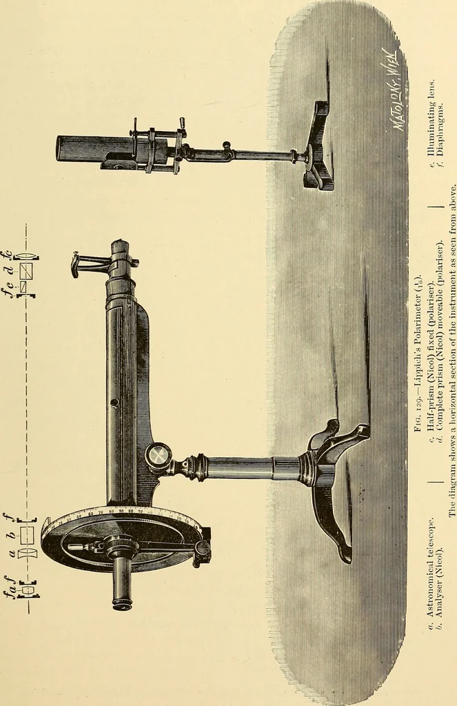 An illustration from Clinical diagnosis : the bacteriological, chemical, and microscopical evidence of disease / by Rudolf v. Jaksch ; tr. from the 3rd German ed. and enlarged by James Cagney ; with numerous illustrations (partly in colours)., 1893, leaf 313