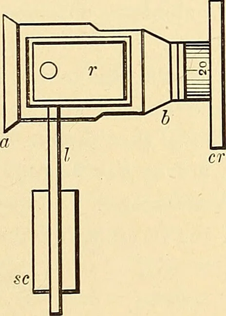 An illustration from Clinical diagnosis : the bacteriological, chemical, and microscopical evidence of disease / by Rudolf v. Jaksch ; tr. from the 3rd German ed. and enlarged by James Cagney ; with numerous illustrations (partly in colours)., 1893, leaf 45