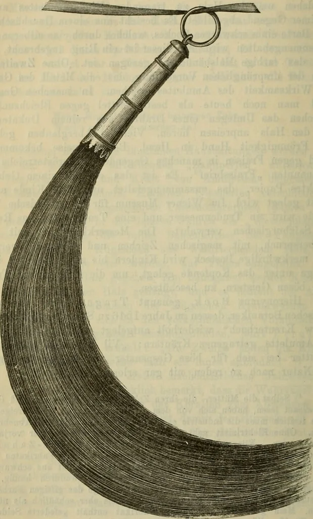 An illustration from Zauberpflanzen und Amulette : ein Beitrag zur Culturgeschichte und Volksmedicin / von M. Kronfeld., 1898, leaf 12